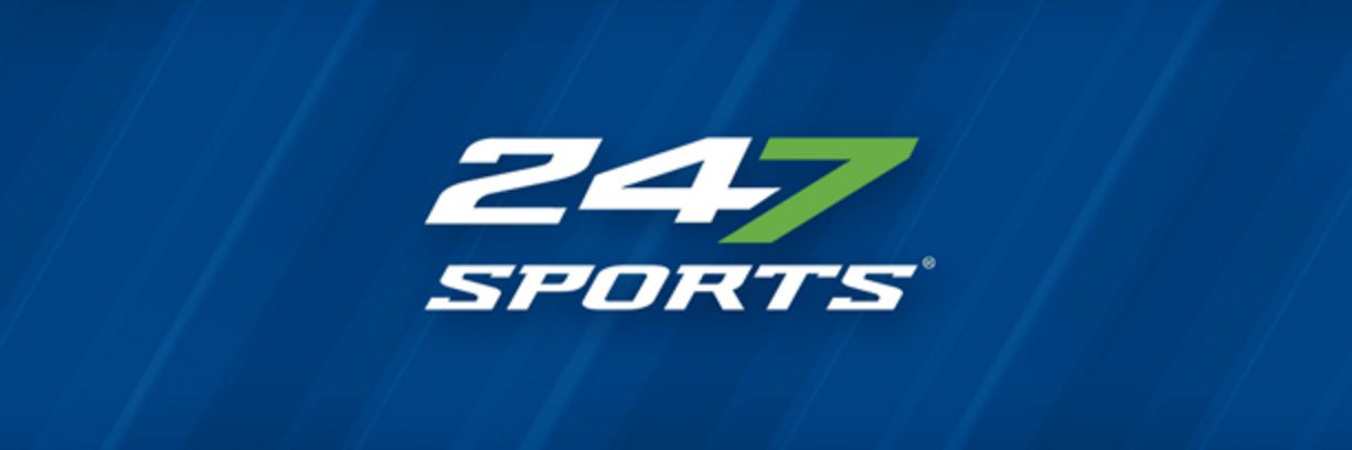 Lions247's banner