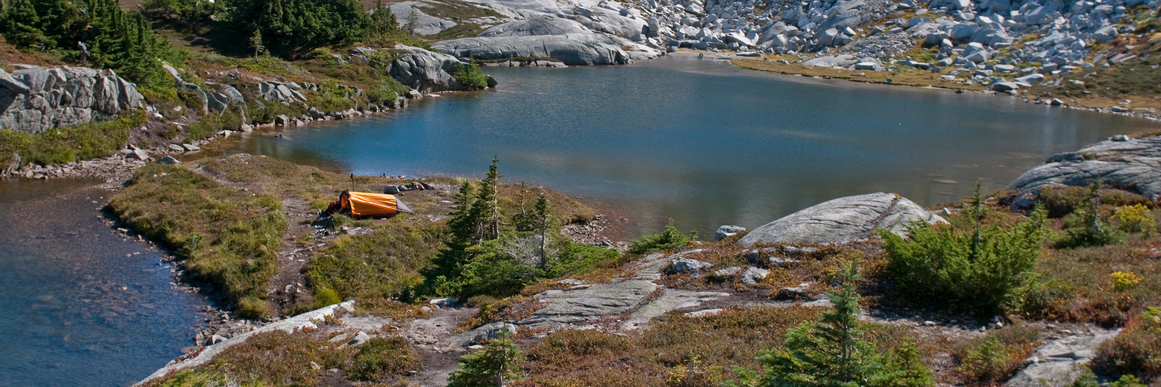 RodWiens's profile banner image