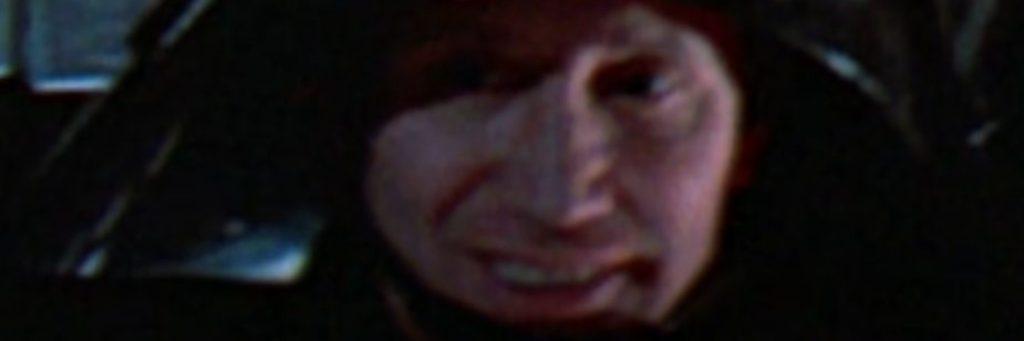 Kielo_Fox's profile banner image