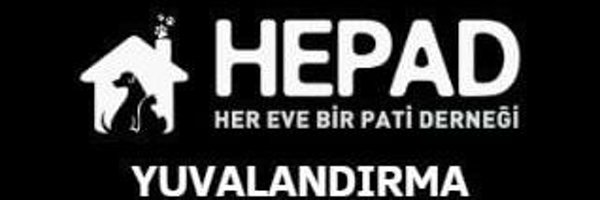 hepadyuva Profile Banner