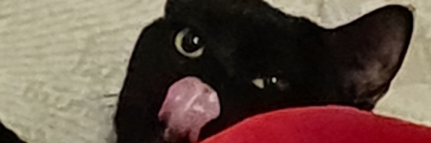 babag_rio's profile banner image