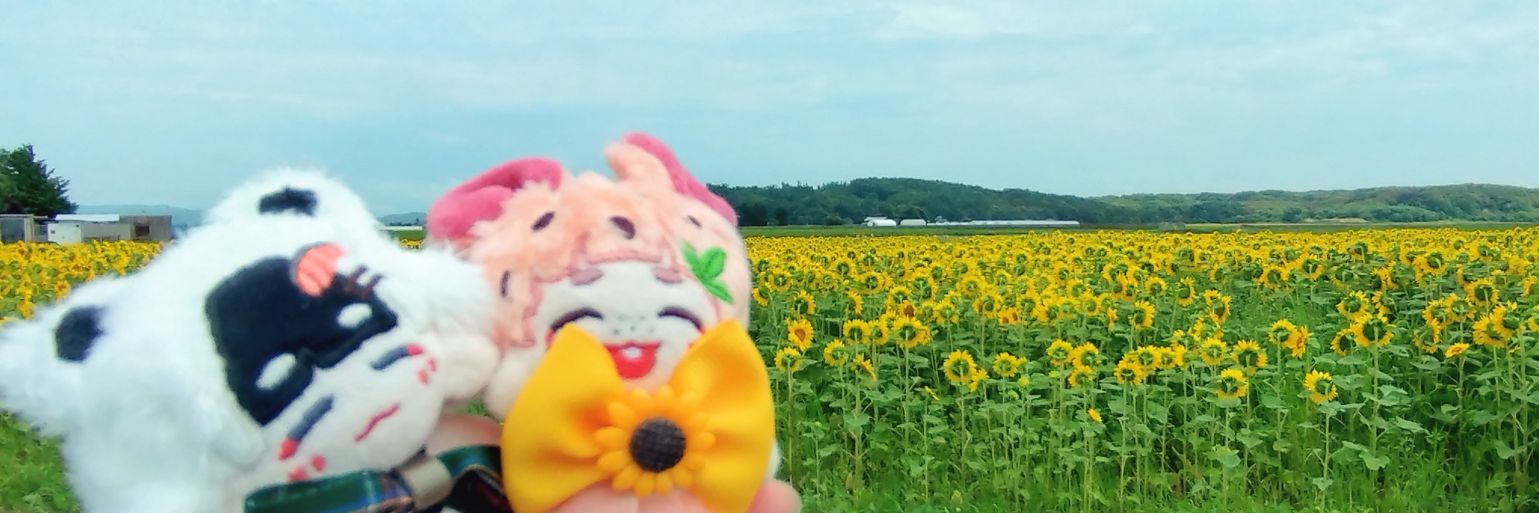 🌻観土🌻 banner