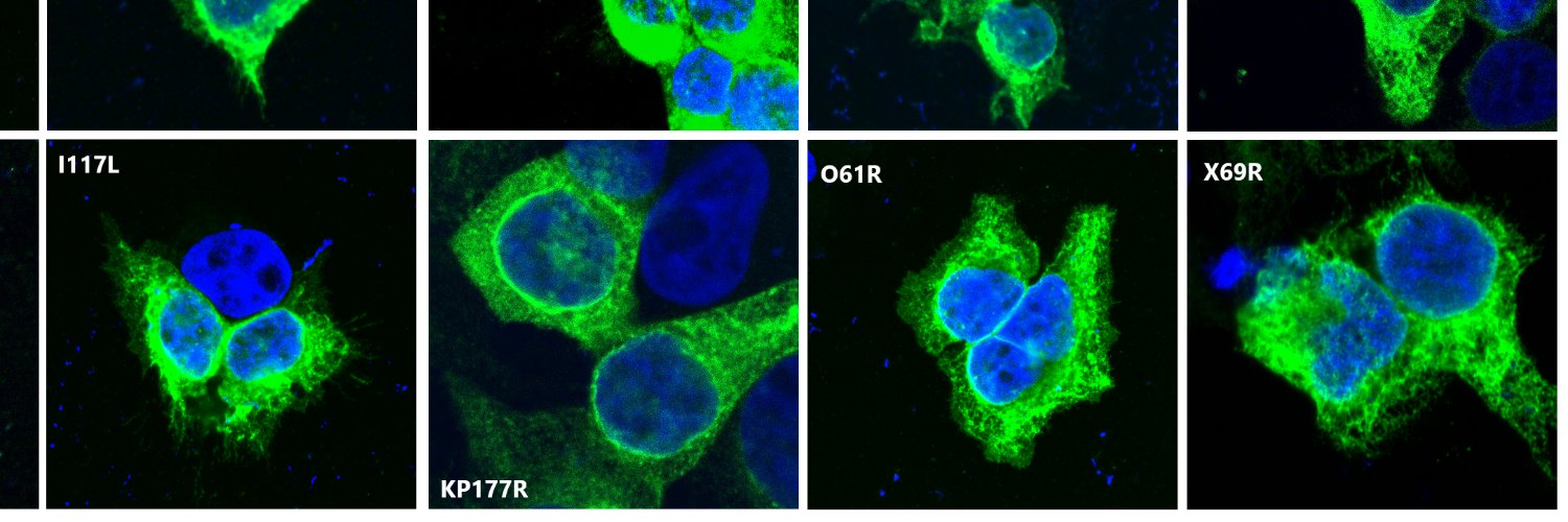 George Hooper banner