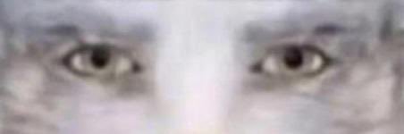 Fl0mar 2.0 🇵🇸🇾🇪 banner