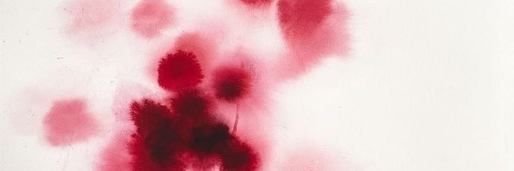Kim banner