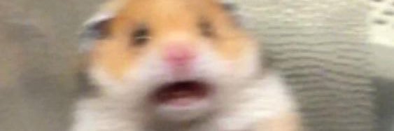𝑭𝑨𝑻𝑨𝑳 𝑨𝑻𝑻𝑹𝑨𝑪𝑻𝑰𝑶𝑵 banner