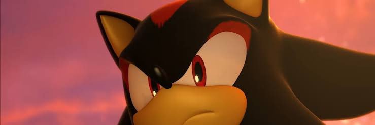 shadow dev banner