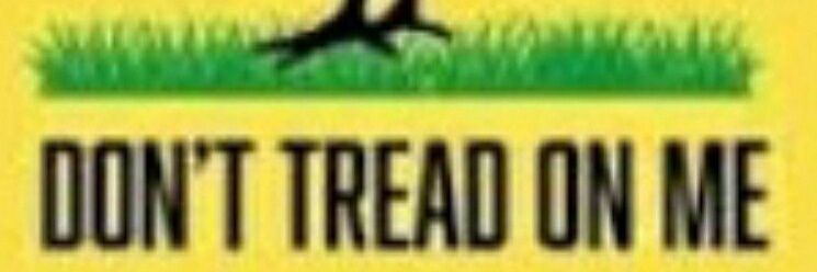 Golden Age Farmer 🐓 banner