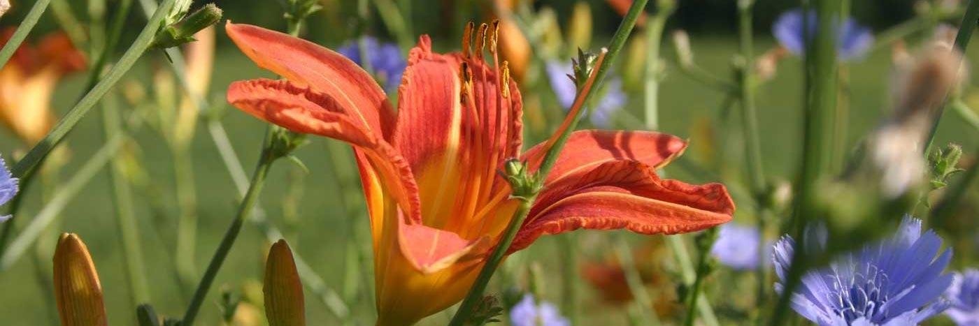 Hunterdon Talk banner