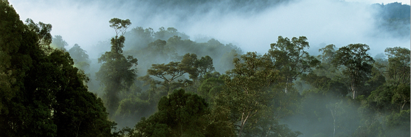 theATBC Profile Banner
