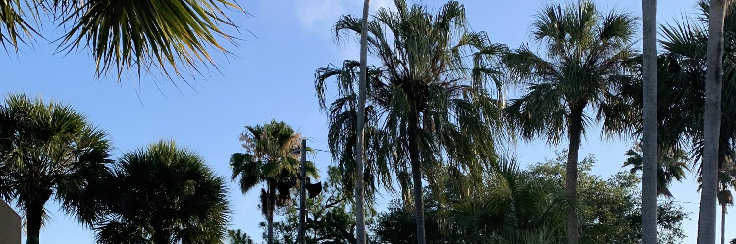 suetaylorr's profile banner image