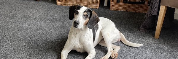 Jpap81 Profile Banner