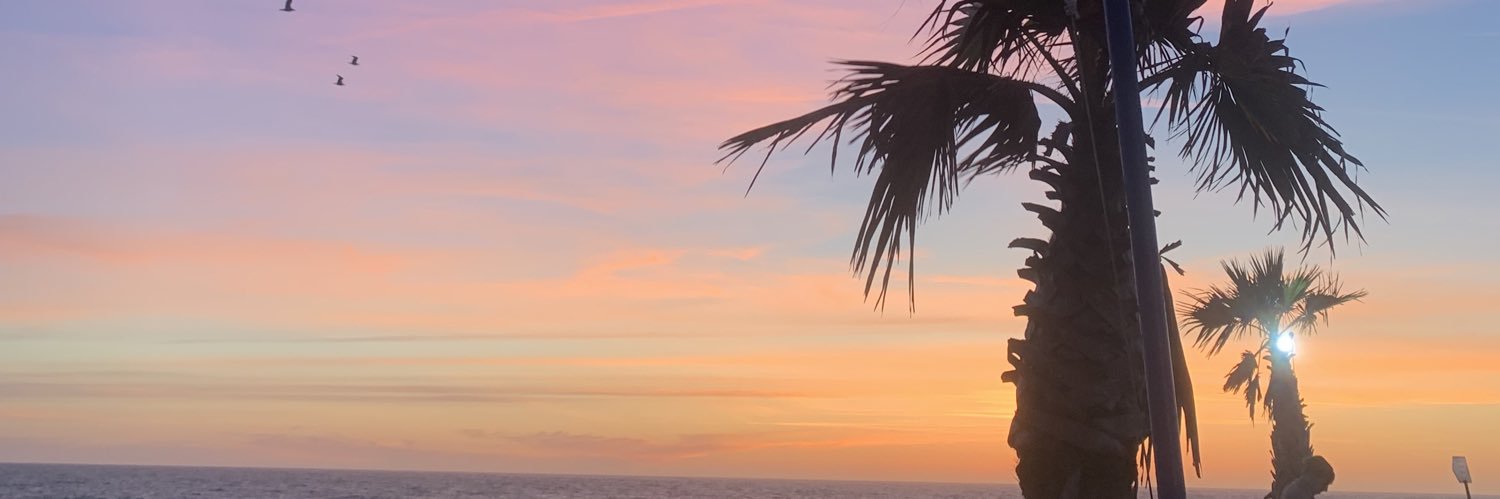 luana banner