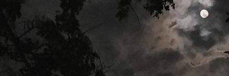 shadowhunter (im an artist i swear) banner