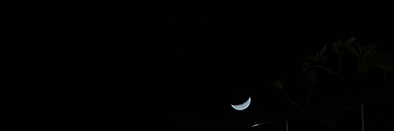 thesoha_'s profile banner image
