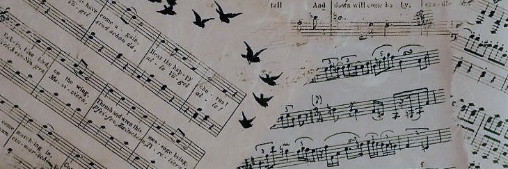 Chloris923's profile banner image