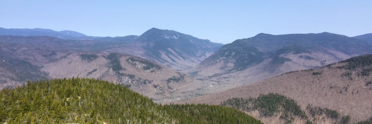 stoney banner