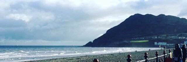 orlaithwallace's profile banner image