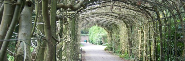 toss_across Profile Banner