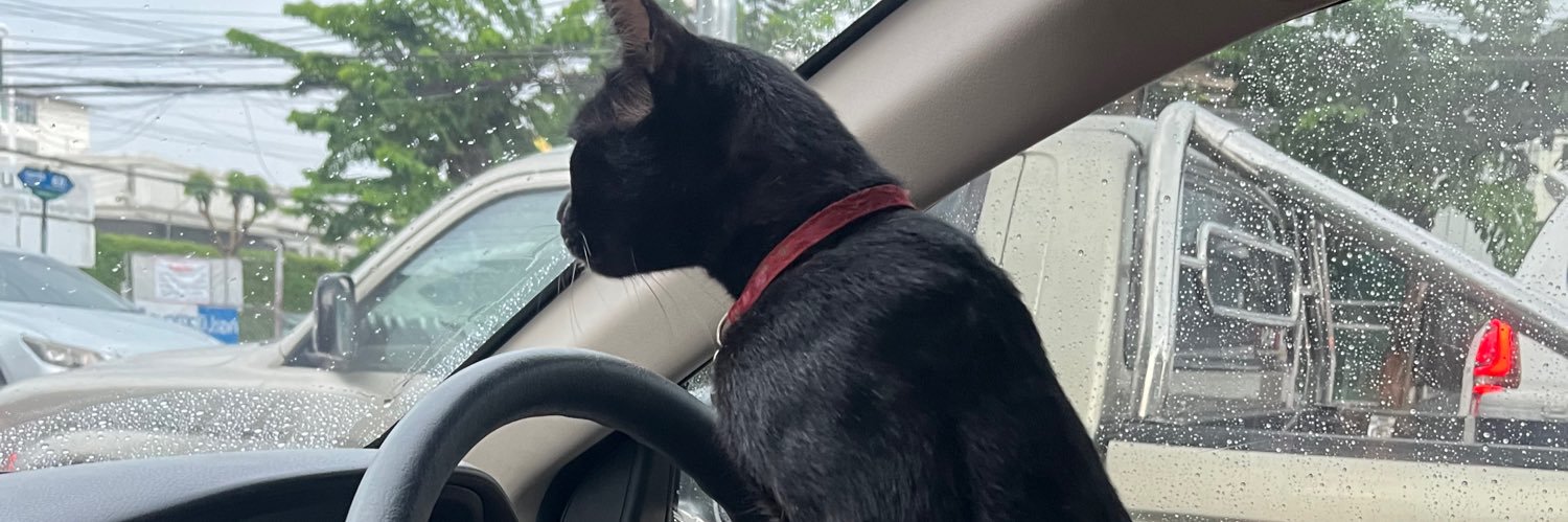 โด๊🐸🐨481 banner