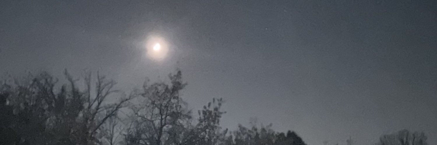 mikeymontana banner