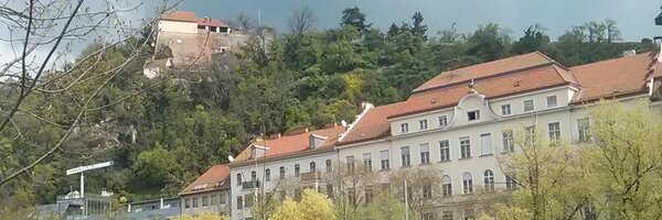 guckes Profile Banner