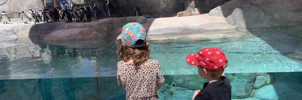 allisonsherry Profile Banner