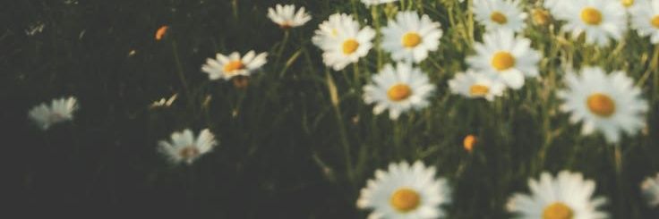 𐚁 banner