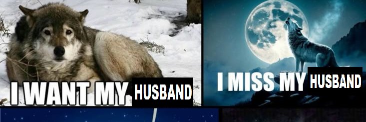 werewolfieee's profile banner image