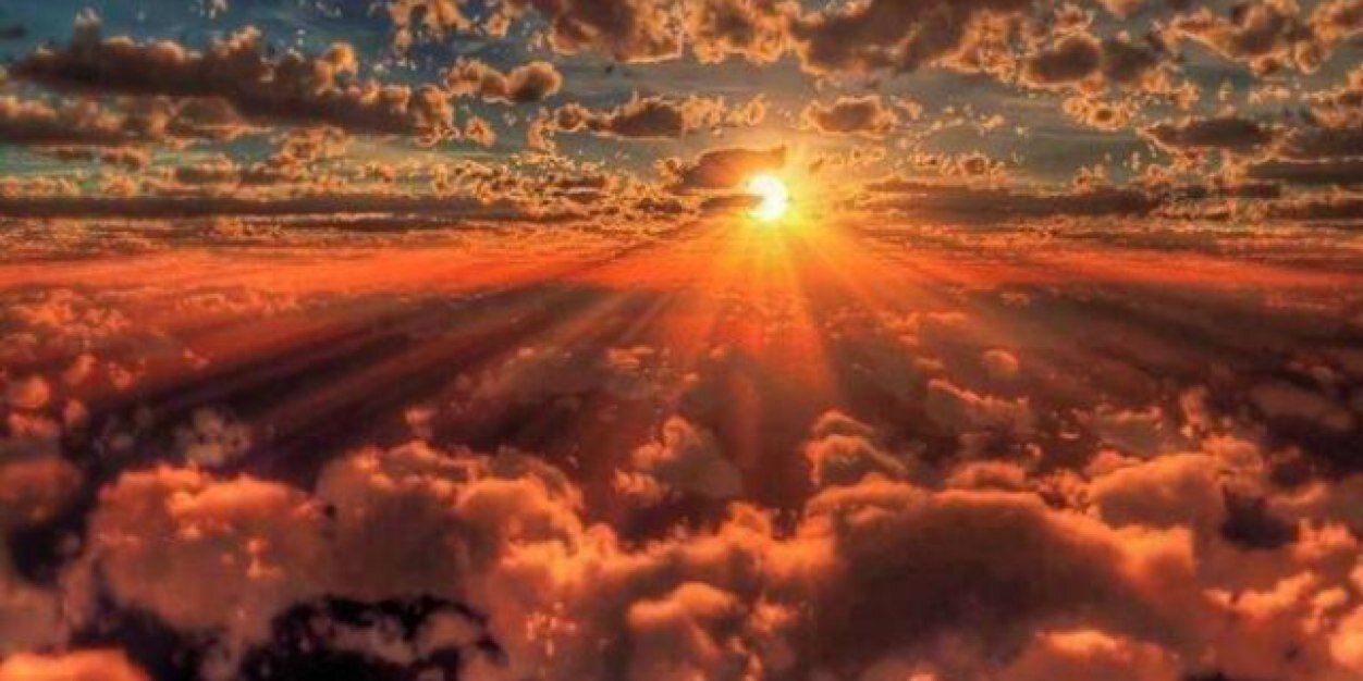 Dimple Hirani banner