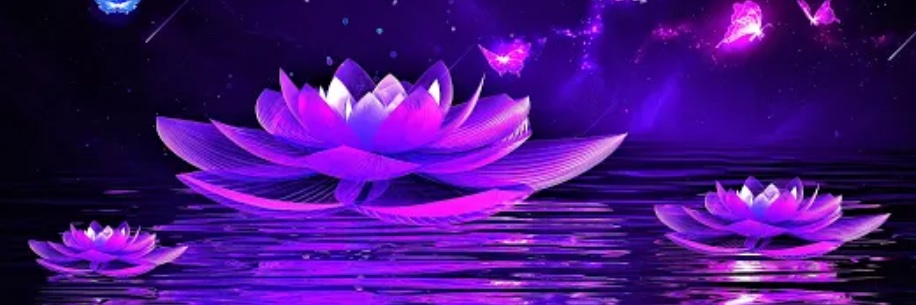 CoJava's profile banner image