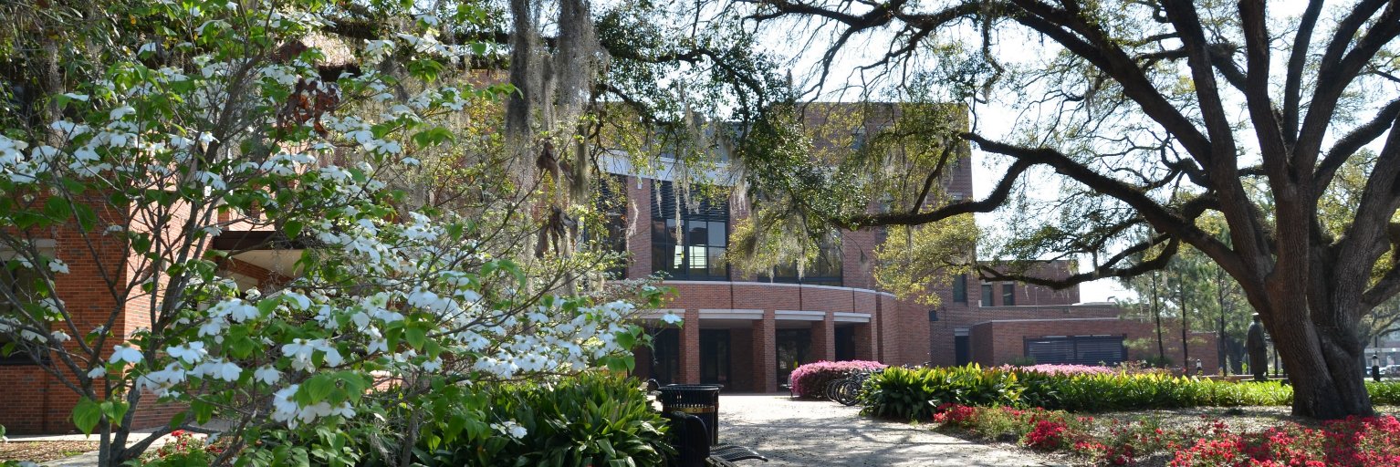FSU Anne's College's banner