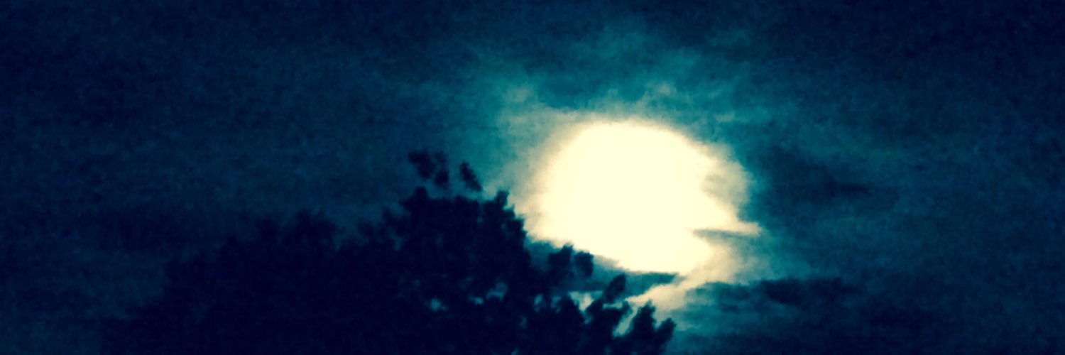NBell14's profile banner image