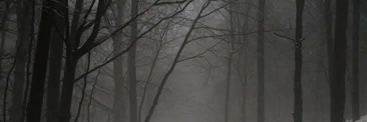 🧟‍♀️ banner