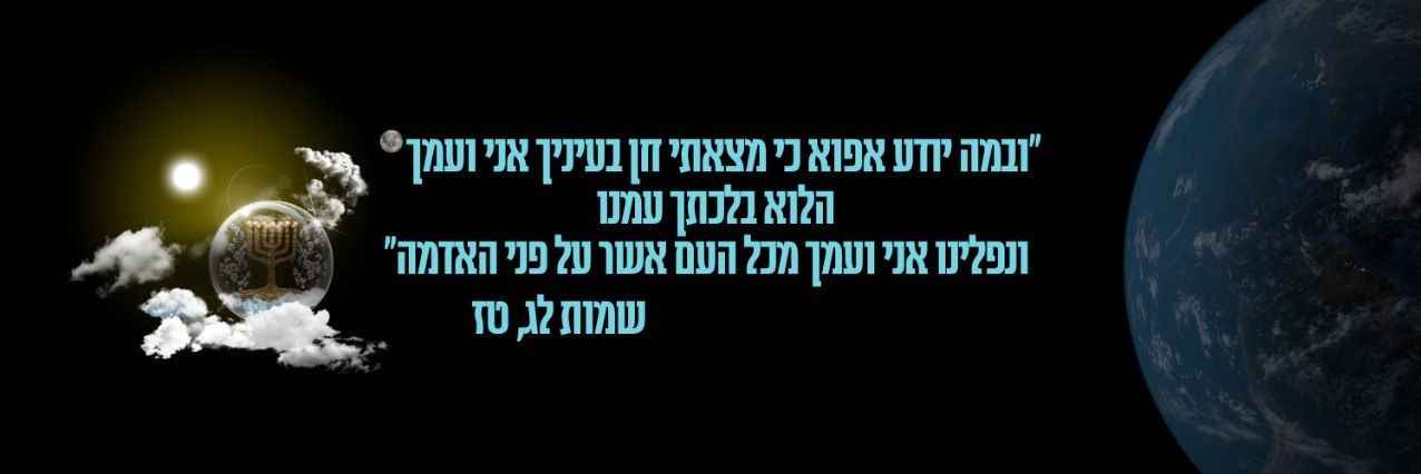 Ronen Cohen רונן כהן's banner