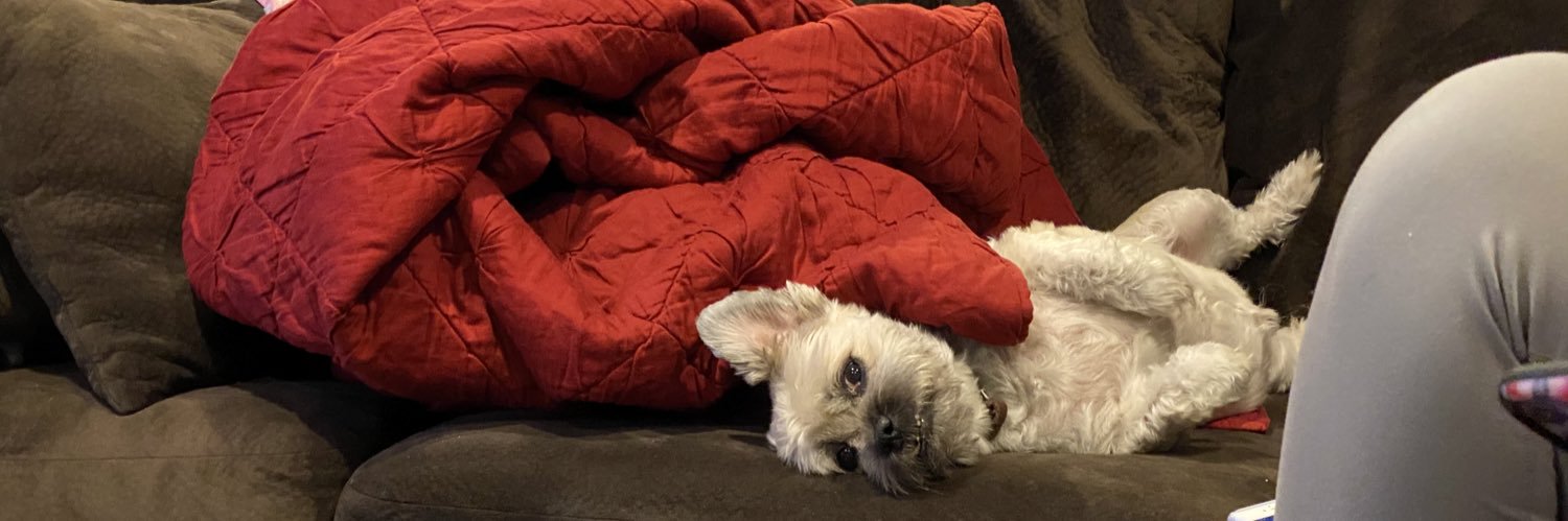 Tango Foxtrot banner