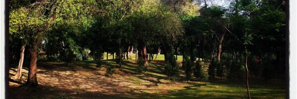 Meetasengupta Profile Banner