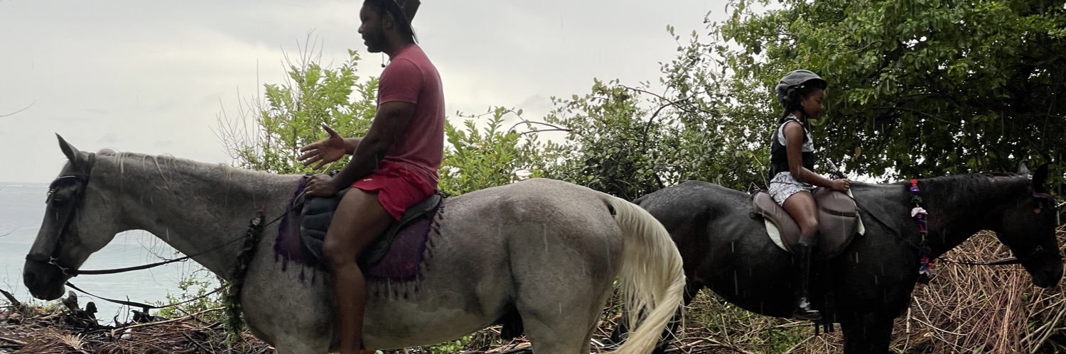 ebreedy's profile banner image