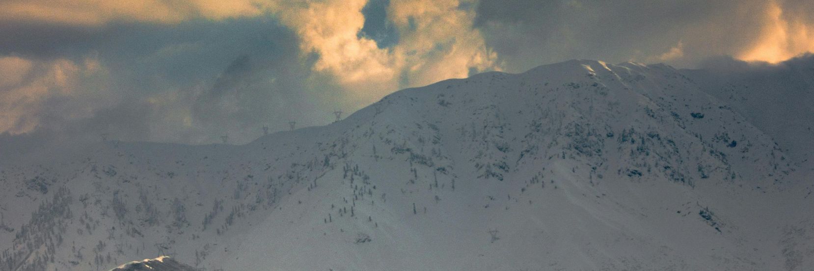Adddy08's profile banner image