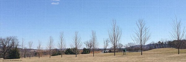 BethFishReads Profile Banner