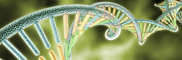 m20genomics Profile Banner