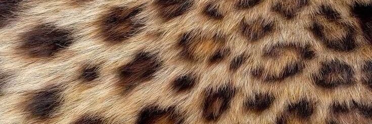 D. banner