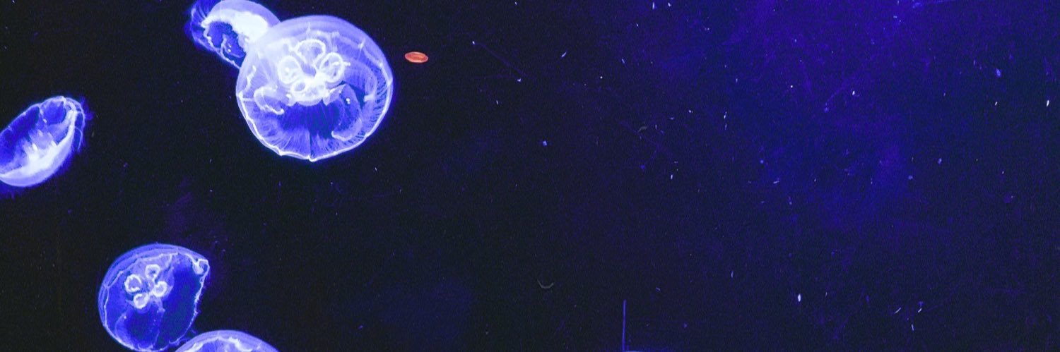 Carrie banner