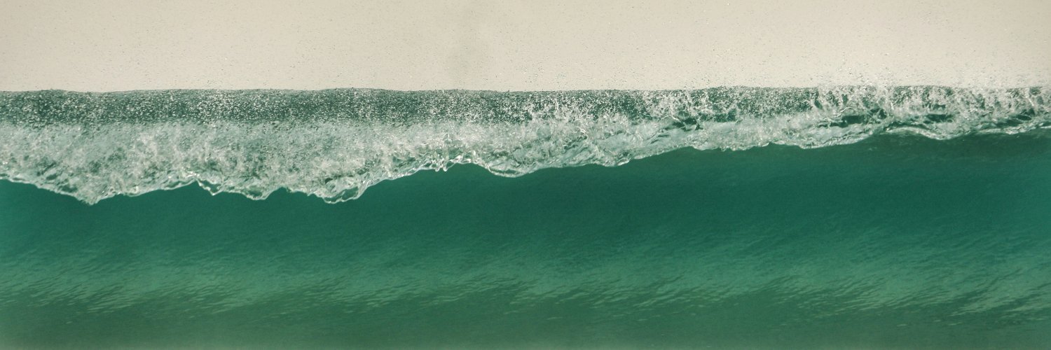 David Morgan 🏄🏼 banner