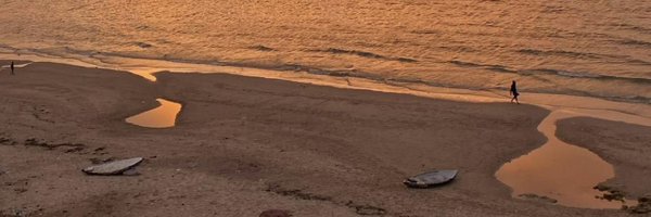 moebari97 Profile Banner