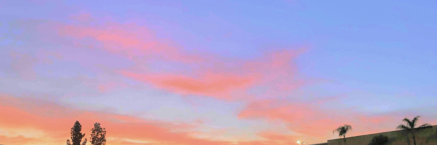 princesskarlee_'s profile banner image