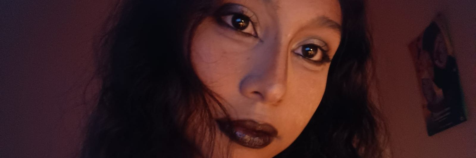 snixkkj's profile banner image