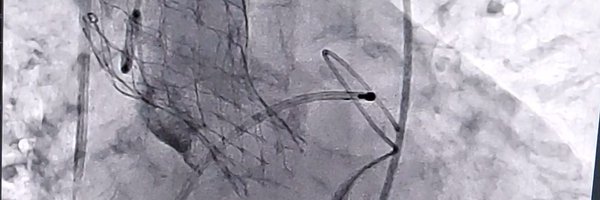 nicvdintvcard Profile Banner