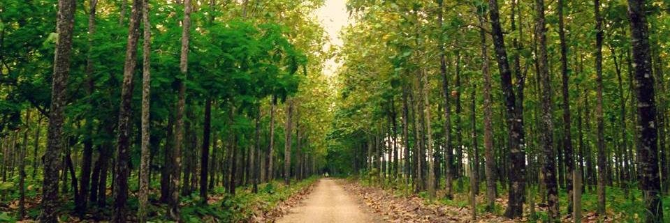 sandojul's profile banner image