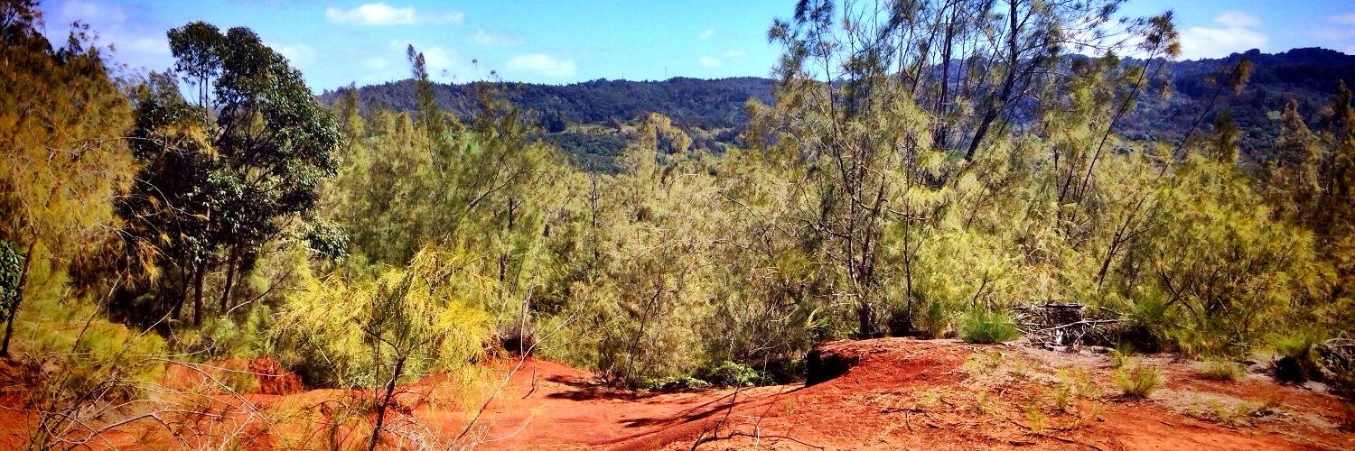 Jerome Gravel-Niquet @jerome@strings.io banner